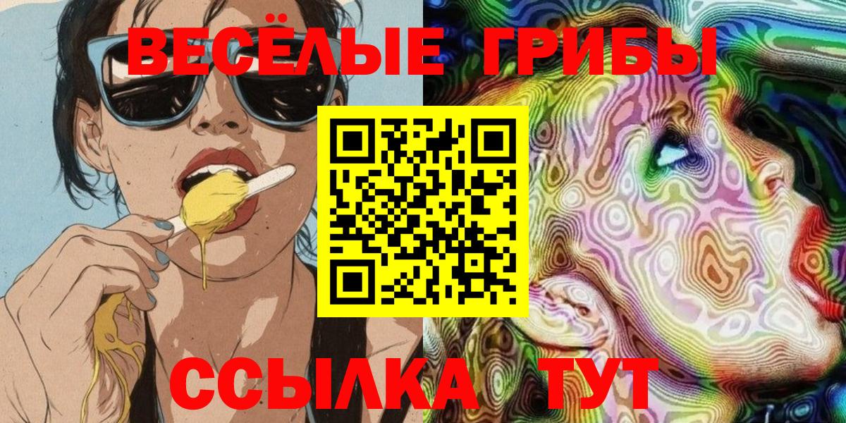 Владикавказ  Галлюциногенные грибы GOLDEN TEACHER  Вход с VPN  Галлюциногенные грибы ЛСД 